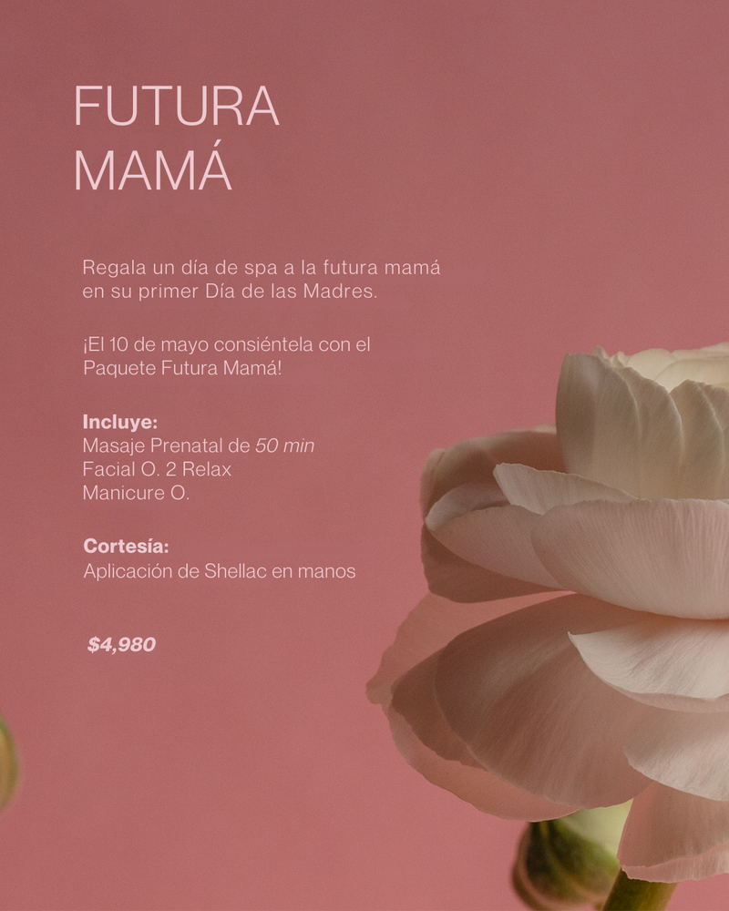 Paquete Futura Mamá